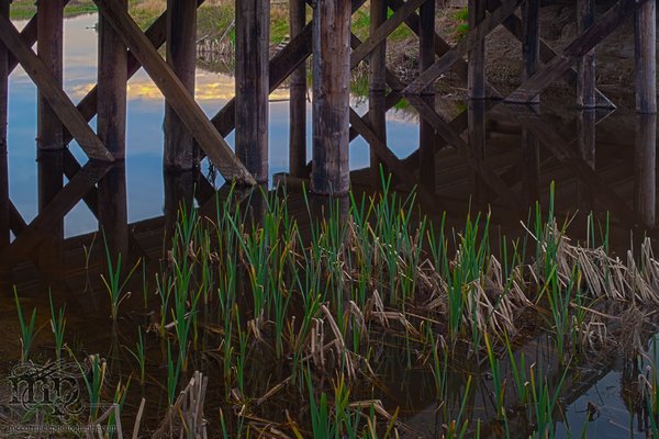 Under the trestle