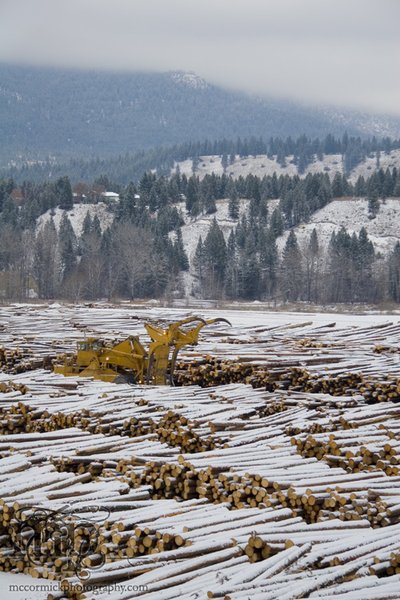 Lumber yard near Radium AB