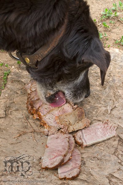 I'm thinking of renaming my dog 'David Dingwall'