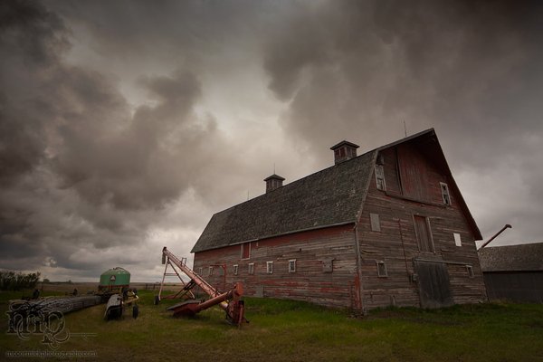 A rainy morning in the farm yard