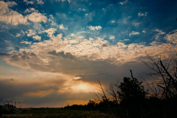 Life in the sky at dusk, May 27, 2011