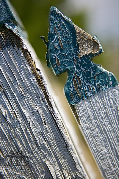 Fence detail, Elizabeth Miller grave, Kirriemuir Cemetery