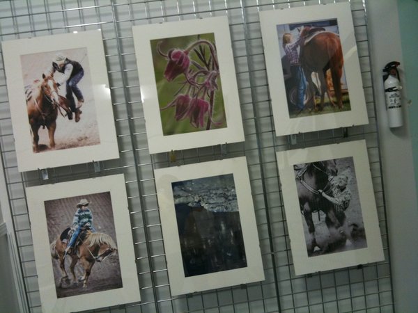 Albertascapes: Display Wall 1
