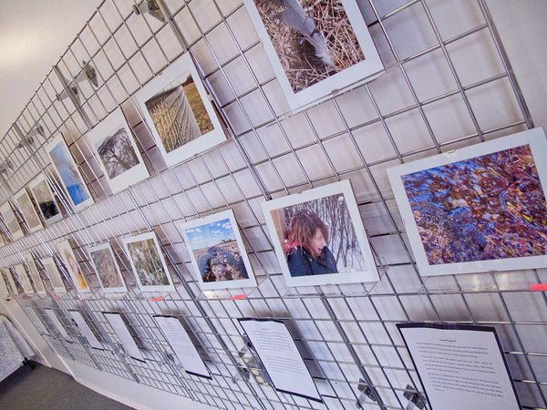 Albertascapes: Display Wall 3 [1 of 2]