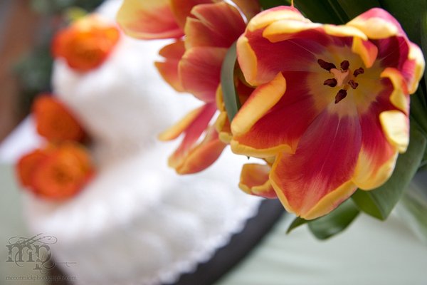 Laura & Nick's Cake [2 of 2]