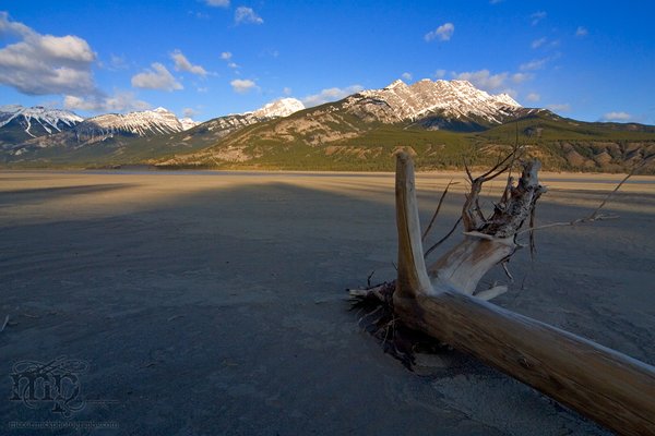 Jasper Lake is missing