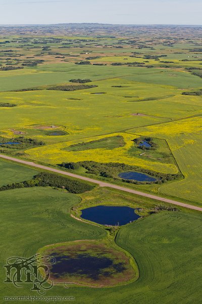 Jul 2011: Farm country