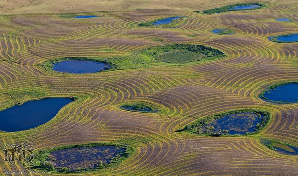 Terror in the Air / Jul 2011: Somewhere out there is one dizzy farmer