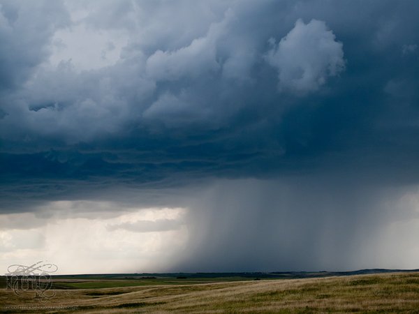 Aug 07, 2011: A hail of a good time [close-up]