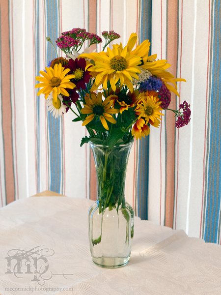Acadia Valley B&B: Fresh flowers from garden