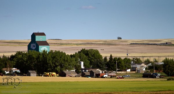 Acadia Valley B&B: View of the village