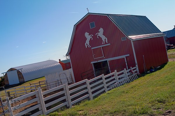 Acadia Valley B&B: Little red barn