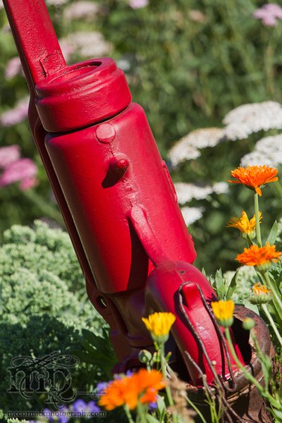 Acadia Valley B&B: Hand pump in garden [2 of 2]