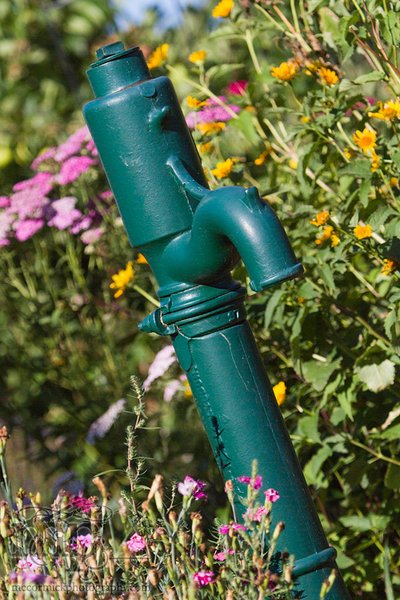 Acadia Valley B&B: Hand pump in garden [1 of 2]