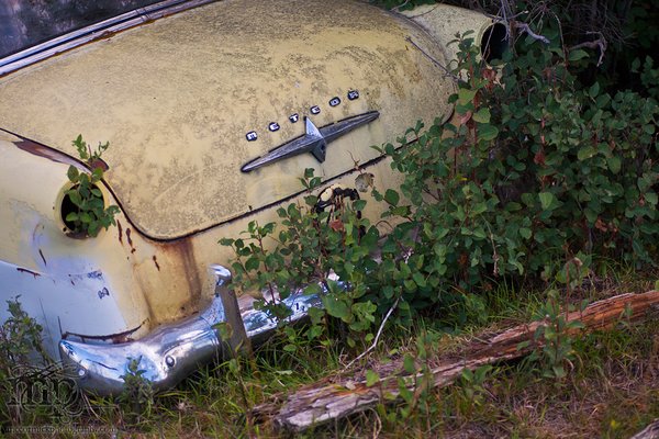 1950s Ford Meteor Customline: Getting back to nature [2 of 2]