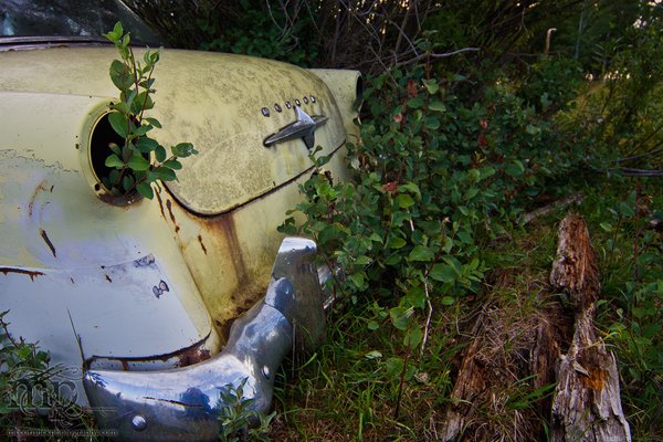 1950s Ford Meteor Customline: Getting back to nature [1 of 2]