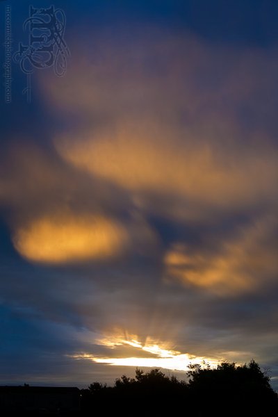 Sunrise, Aug 27, 2011: The view over Casa McCormick