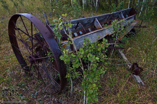 Horse drawn seed drill