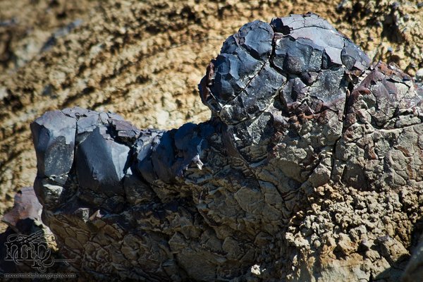 Monitor Mud Buttes 2011: Exposed coal [1 of 6]