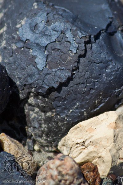 Monitor Mud Buttes 2011: Typical cracking pattern