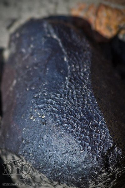 Monitor Mud Buttes 2011: Typical erosion on coal lumps