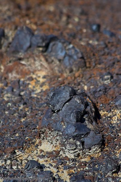 Monitor Mud Buttes 2011: Exposed coal [5 of 6]