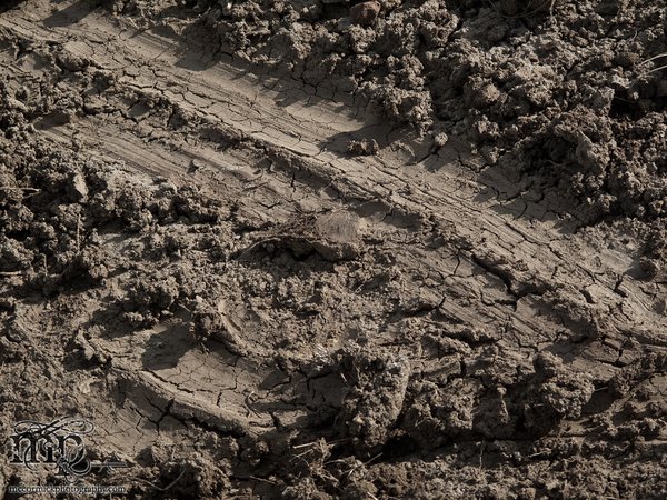 Monitor Mud Buttes 2011: Skid row