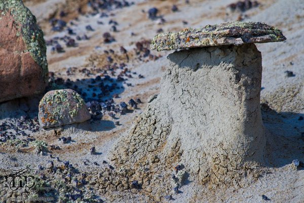 Monitor Mud Buttes: Typical erosion [2 of 2]