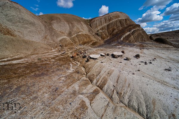 Monitor Mud Buttes 2011: Standing in line [Colour]