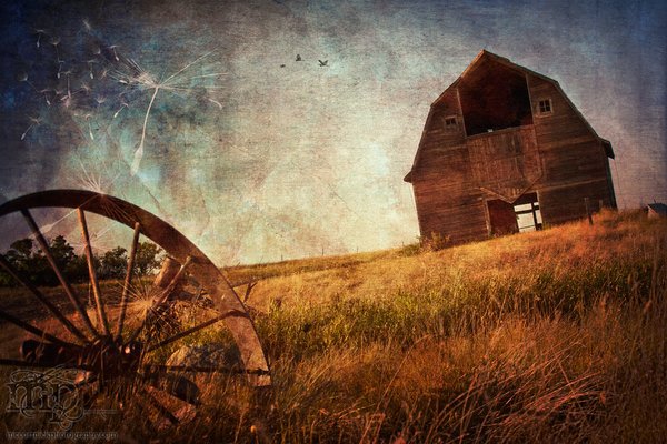 Old barn south of Esther [1 of 3]