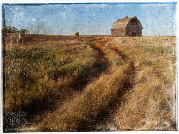 Old barn south of Esther [2 of 3]