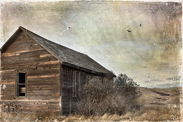 The world's most boringest abandoned homestead