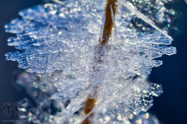 It's a small world after all [7 of 11]