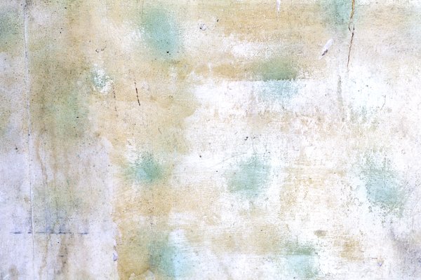 Texture : George Beck Homestead [8 of 8]