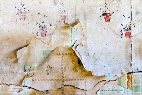 Texture : George Beck Homestead [4 of 8]