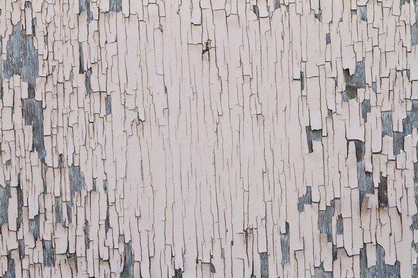 Texture : Peeling Pink Paint [5 of 8]