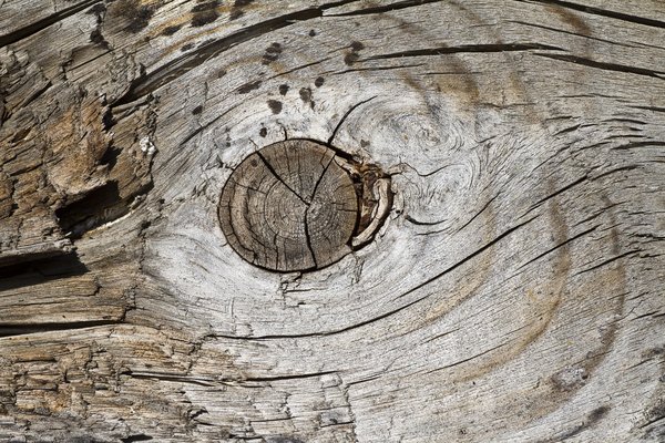 Texture : Old Vert Homestead : Very Knotty