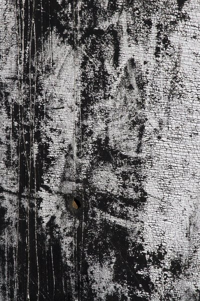 Texture : International R-130 : Mud Flap [1 of 5]