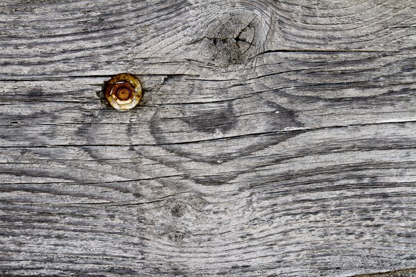 Texture : International R-130 : Box Liner [3 of 4]