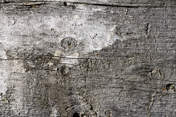 Texture : International R-130 : Box Liner [2 of 4]
