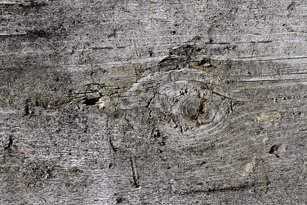 Texture : International R-130 : Box Liner [1 of 4]