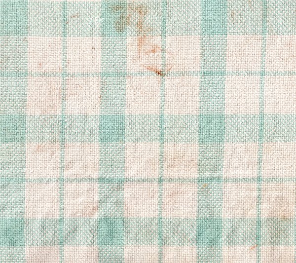 Texture : Stained Green Plaid Dish Rag