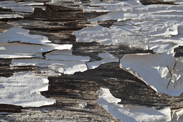 Texture : Casa McCormick [1 of 2]