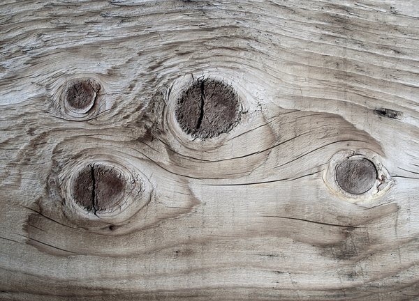 Texture : I'm So Knotty