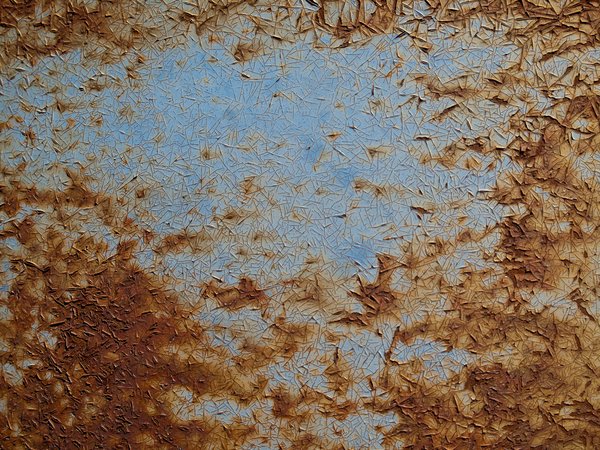 Texture : Old Blue has cancer [2 of 2]