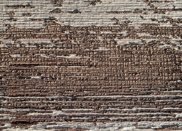 Texture : A Piece of the Beck Homestead