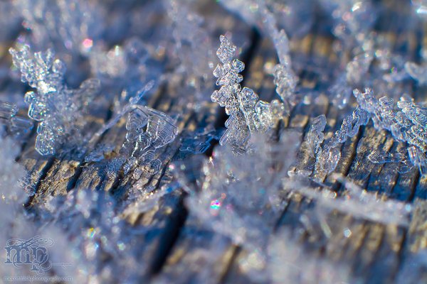 Frost on the front porch railing [8 of 8]