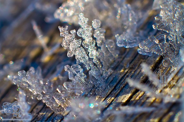 Frost on the front porch railing [6 of 8]