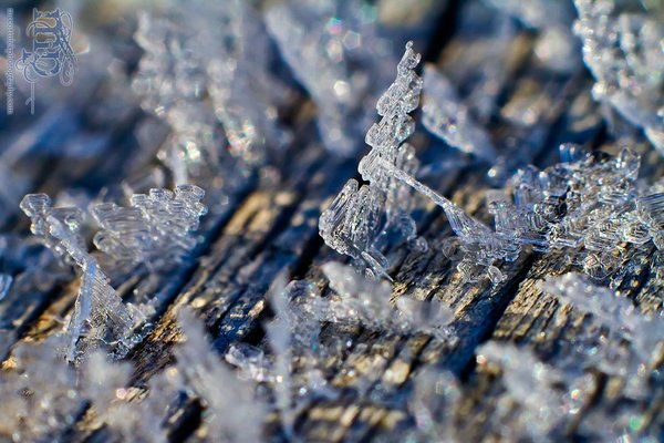 Frost on the front porch railing [4 of 8]