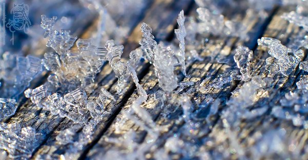 Frost on the front porch railing [2 of 8]